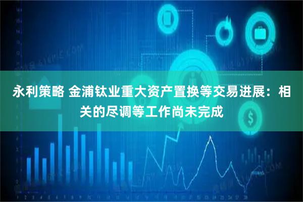 永利策略 金浦钛业重大资产置换等交易进展：相关的尽调等工作尚未完成
