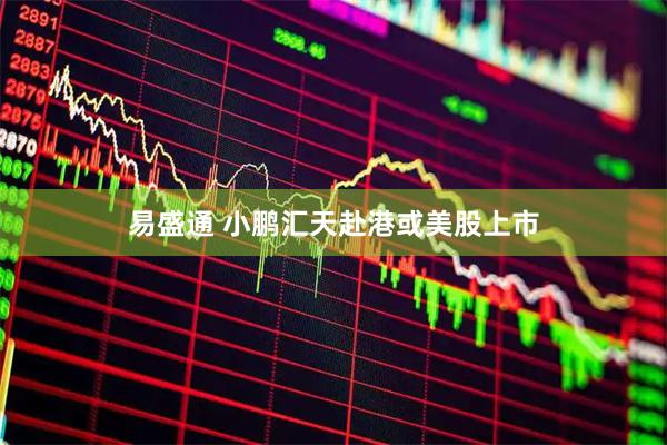 易盛通 小鹏汇天赴港或美股上市
