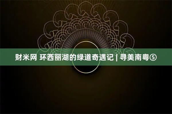 财米网 环西丽湖的绿道奇遇记 | 寻美南粤⑤