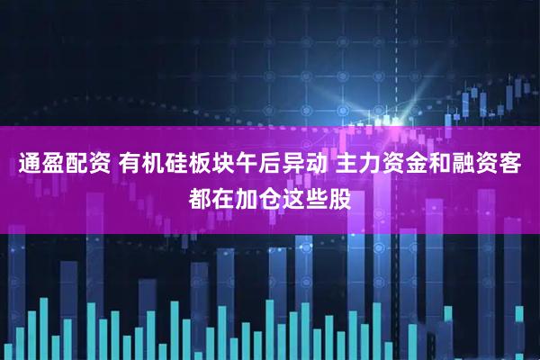 通盈配资 有机硅板块午后异动 主力资金和融资客都在加仓这些股